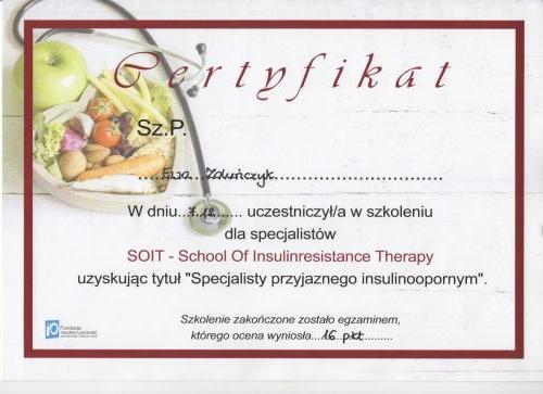 SOIT - School of Insulinresistance Therapy
